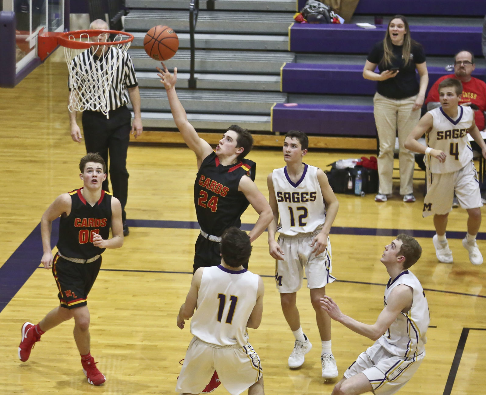 Warrensburg Latham Monticello 50 2.20.19.JPG